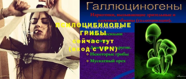 марки lsd Абаза
