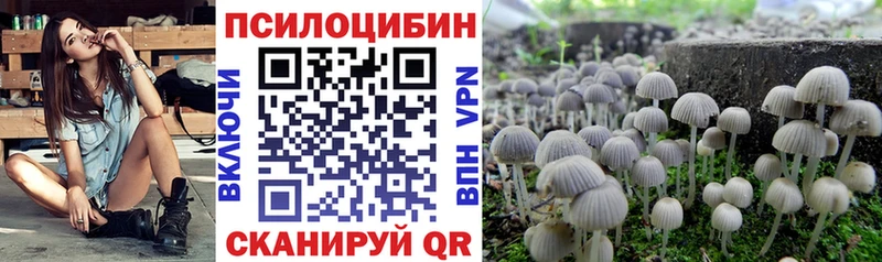 OMG ONION  Протвино  Псилоцибиновые грибы мицелий 