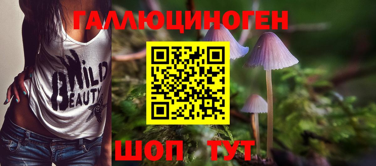 Галлюциногенные грибы Cubensis Протвино